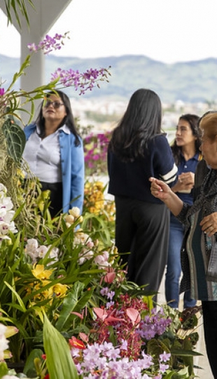 Exposición de Orquídeas Ecuagenera Exposición de Orquídeas Ecuagenera