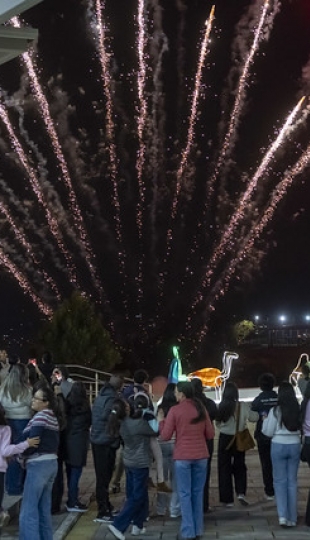 Noches mágicas UTPL 2025