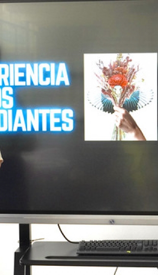 Creación de un Portfolio Digital para obra pictórica con identidad local