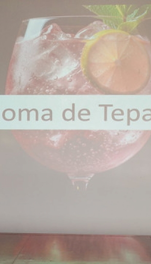 Innovación en el uso de mariscos ecuatorianos. Promoviendo creatividad y diversificación en la Gastronomía Universitaria