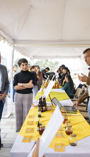 Feria Intercultural “Economía Conecta” MÁS que un producto una herencia