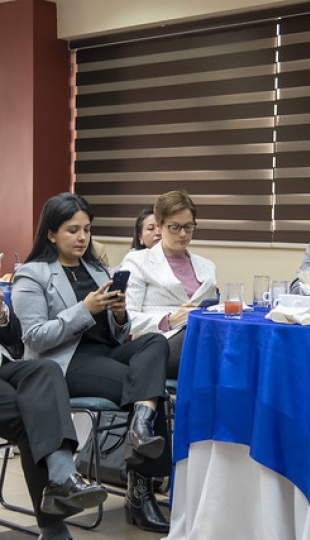 Socialización proyecto GEM 2024