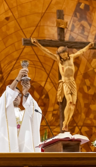 II Encuentro Nacional de Coordinadores de los Centros de Apoyo 2025 II Encuentro Nacional de Coordinadores de los Centros de Apoyo 2025