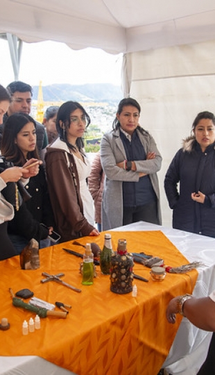 Inti Raymi de las universidades y diversidades 2025. Jornadas de curación y saberes Inti Raymi de las universidades y diversidades 2025. Jornadas de curación y saberes