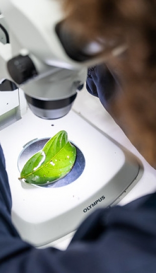 Internacionalización | Carrera de Biología