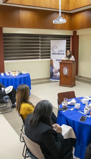 Socialización proyecto GEM 2024