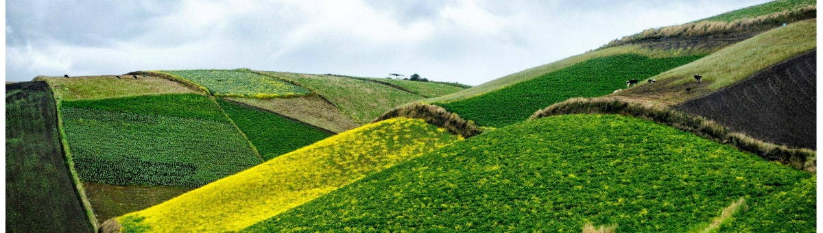 Ecuador Pocima Perfecta Como Destino Turistico Blog Ecuador Pocima Perfecta Como Destino Turistico Blog