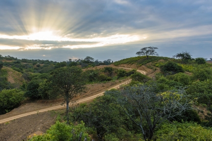 bosques-secos-en-ecuador