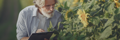 Sustentabilidad de negocios agrícolas