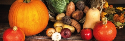 Seguridad Alimentaria