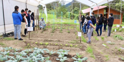 Huertos familiares, la propuesta de UTPL para contribuir a la seguridad alimentaria