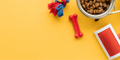 Innovación tecnológica estudiantil convierte subproductos cárnicos en alimento para mascotas