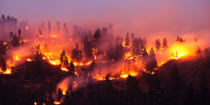 La sostenibilidad juega un papel importante en la prevención de incendios forestales