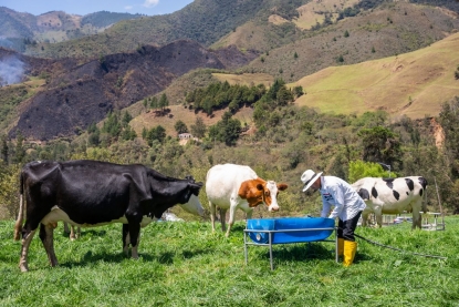 Proyectos de vinculación impulsan la sostenibilidad en el sector agropecuario
