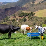 Proyectos de vinculación impulsan la sostenibilidad en el sector agropecuario