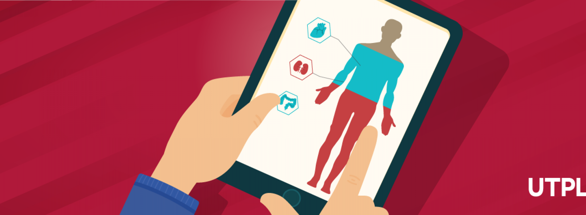 apps móvil para aprender anatomía humana