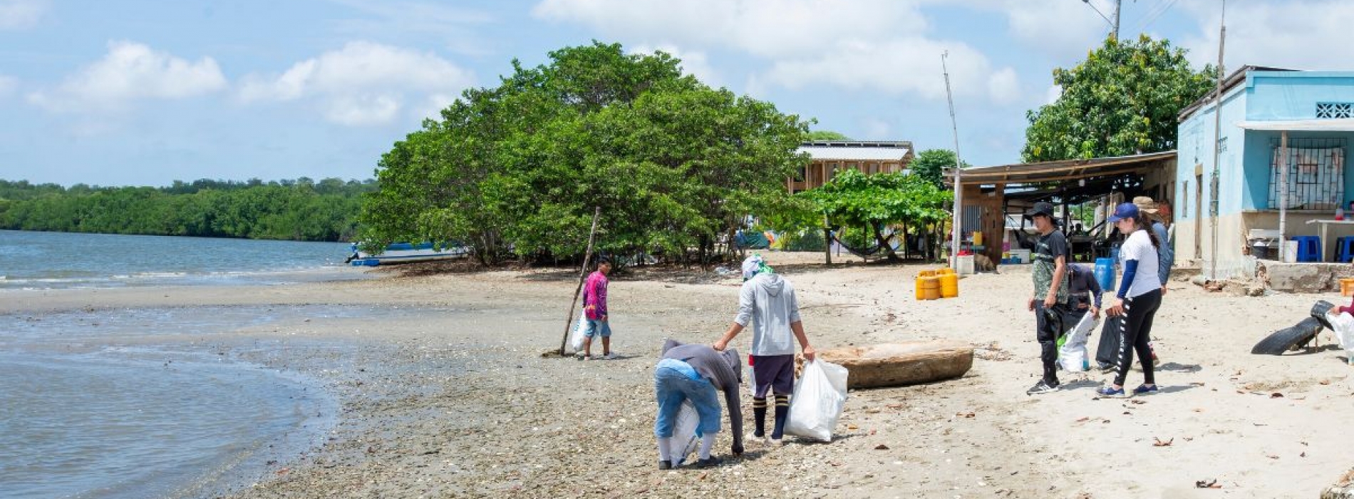 Proyectos de vinculación fomentan la preservación del ecosistema manglar y contribuyen al ODS 13