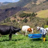 Proyectos de vinculación impulsan la sostenibilidad en el sector agropecuario
