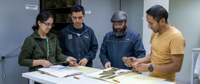 Estudio de especies forestales CITES en la Amazonía del Ecuador