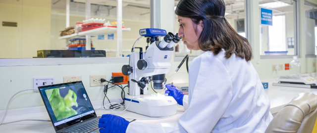 UTPL financia 19 proyectos de investigación con impacto social y visión sostenible
